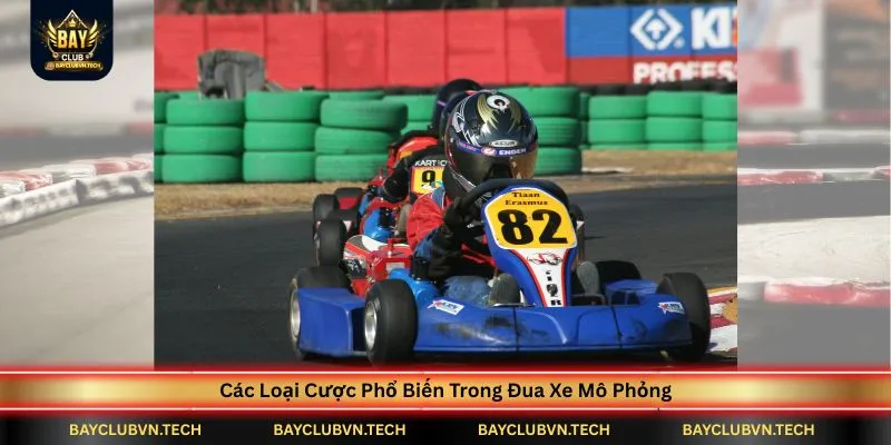 Đua Xe Mô Phỏng Nhanh BAYCLUB | Làm Chủ Đường Đua Với Chiến Thuật Chọn Xe Hiệu Quả 4 cac-loai-cuoc-pho-bien-trong-dua-xe-mo-phong