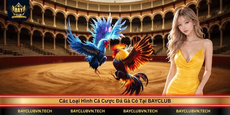 cac-loai-hinh-ca-cuoc-da-ga-co-tai-bayclub