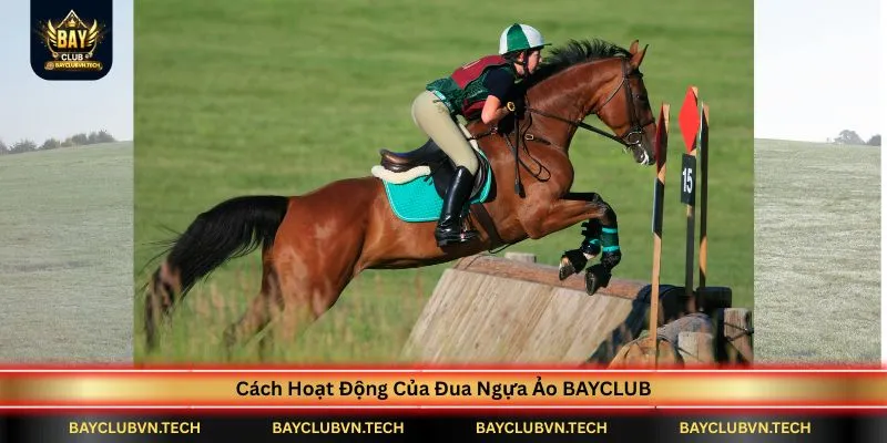 cach-hoat-dong-cua-dua-ngua-ao-bayclub
