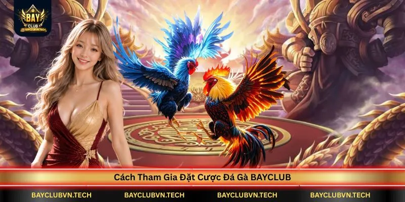 cach-tham-gia-dat-cuoc-da-ga-bayclub