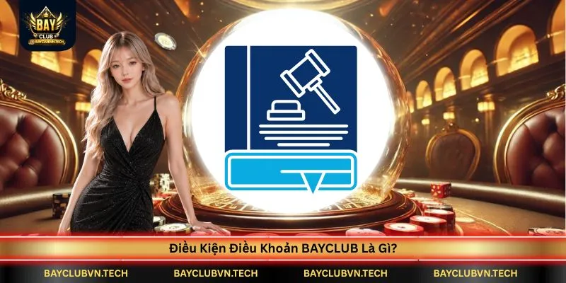 Điều Kiện Điều Khoản 1 dieu-kien-dieu-khoan-bayclub-la-gi