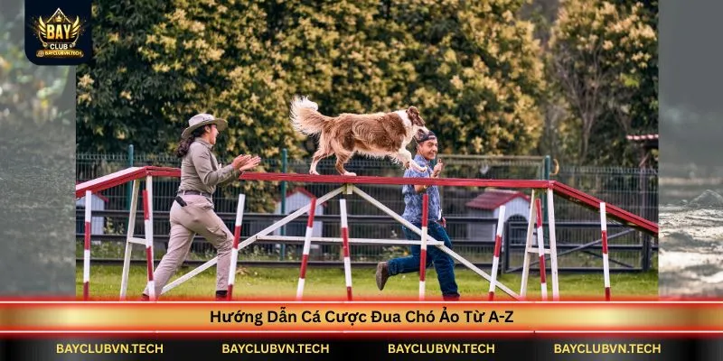 huong-dan-ca-cuoc-dua-cho-ao-tu-a-z