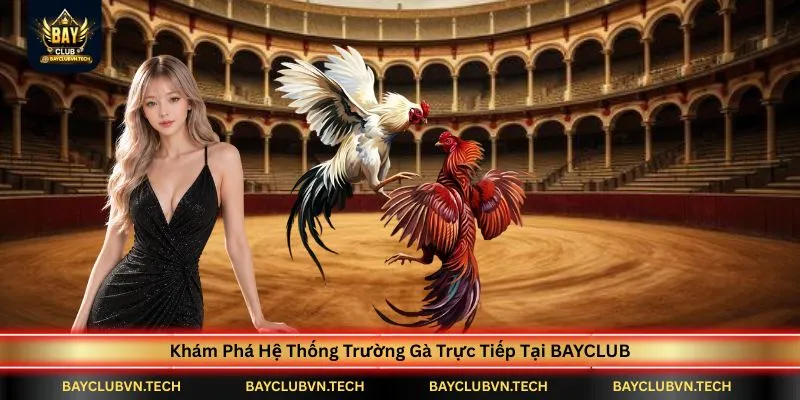 kham-pha-he-thong-truong-ga-truoc-tiep-tai-bayclub