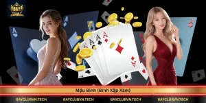 mau-binh-binh-xap-xam